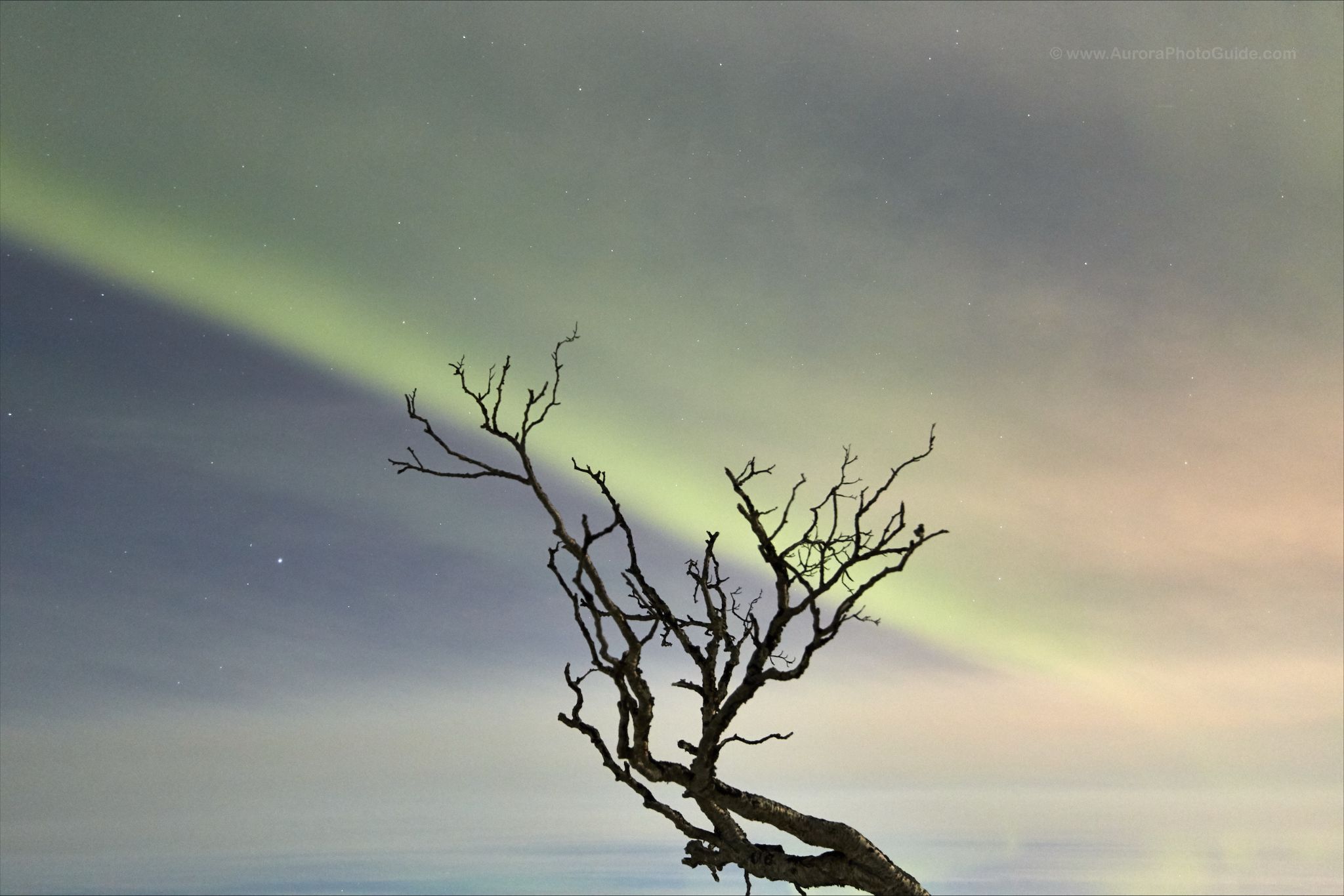 Green northern lights over Tromsø, Norway
